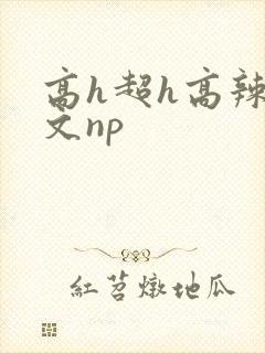 高h超h高辣h文np