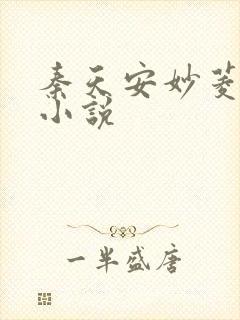 秦天安妙菱修仙小说