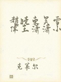 赵晓东吴雪晴郑伟王潇潇小说名字