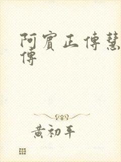 阿宾正传慧钰外传封面