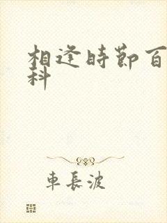 相逢时节百度百科封面