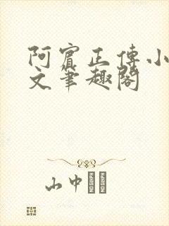 阿宾正传小说全文笔趣阁