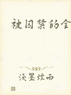 被囚禁的金丝雀封面