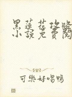 黑莲花攻略手册小说免费阅读封面