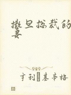 撒旦总裁的下堂妻