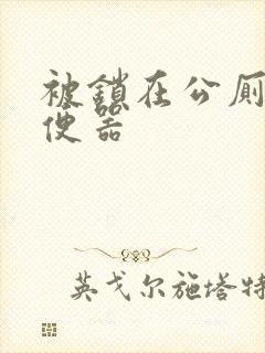 被锁在公厕当坐便器封面