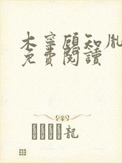 木宁顾知胤小说免费阅读