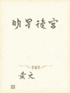 明星后宫