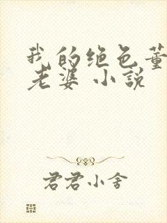 我的绝色董事长老婆 小说