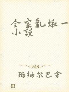 全家乱炖一锅烩小说