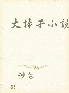 大棒子小说