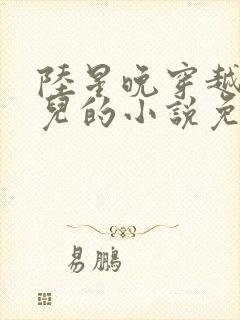 陆星晚穿越成婴儿的小说免费阅读全文