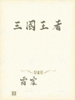 三国王者封面