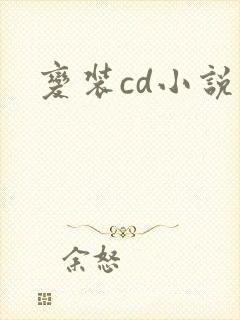 变装cd小说