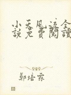 小天风流全集小说免费阅读