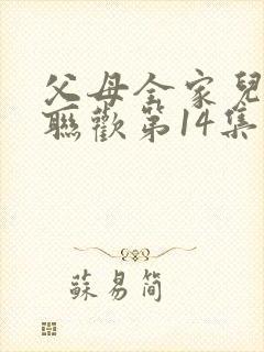 父母全家儿女大联欢第14集封面