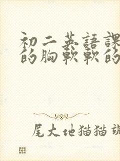 初二英语课代表的胸软软的