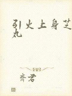 引火上身芝麻糖丸