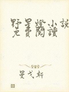 野星灯小说全文免费阅读封面