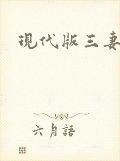 现代版三妻四妾封面