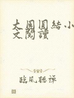 大团圆结小茹全文阅读