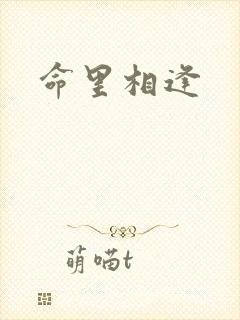 命里相逢