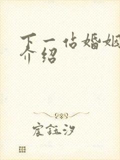 下一站婚姻剧情介绍