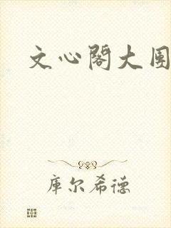 文心阁大团结封面