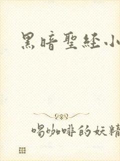 黑暗圣经小说封面