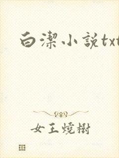 白洁小说txt
