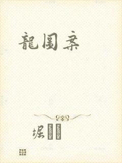 龙图案封面