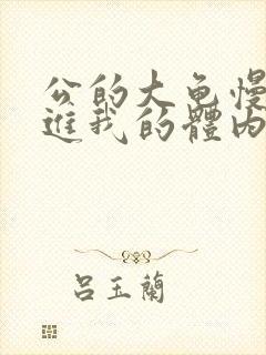 公的大龟慢慢挺进我的体内视频