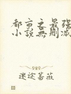 都市之最强狂兵小说无删减正版在线阅读封面