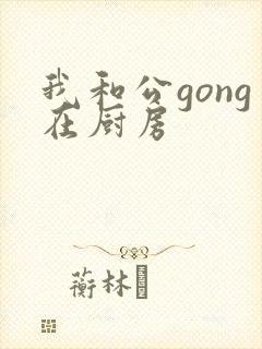 我和公gong在厨房