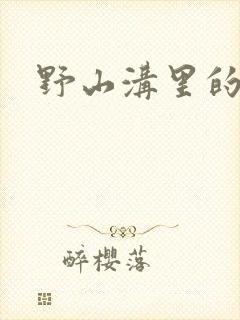 野山沟里的村庄