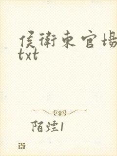 侯卫东官场笔记txt