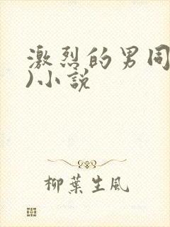 激烈的男同(h)小说