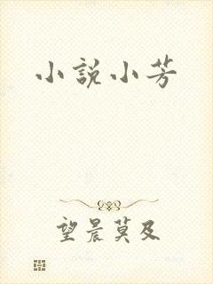 小说小芳