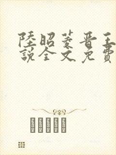 陆昭菱晋王的小说全文免费阅读