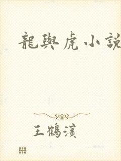 龙与虎小说