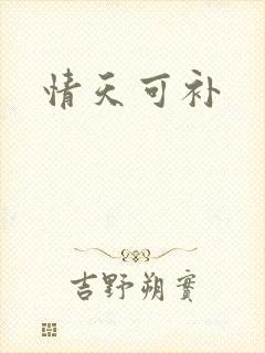情天可补