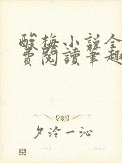 酸梅小说全文免费阅读笔趣阁