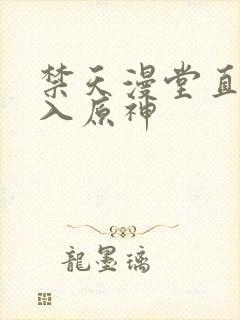 禁天漫堂直接进入原神