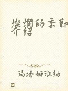 灿烂的季节剧情介绍