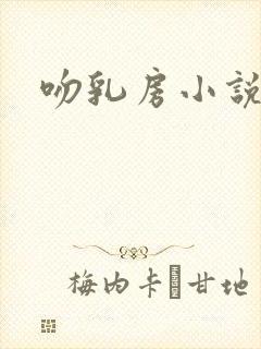 吻乳房小说