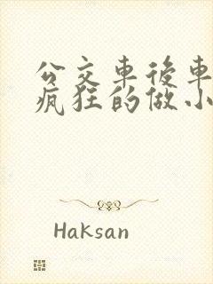 公交车后车座的疯狂的做小封面