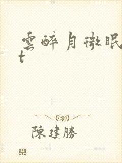 云醉月微眠txt封面