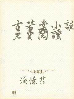 方若棠小说全文免费阅读