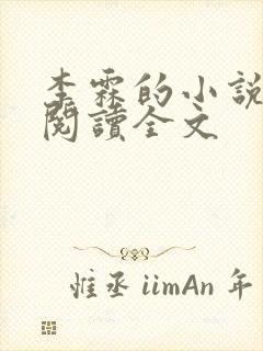 李霖的小说免费阅读全文