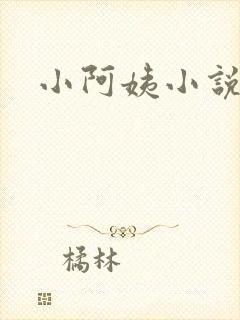 小阿姨小说